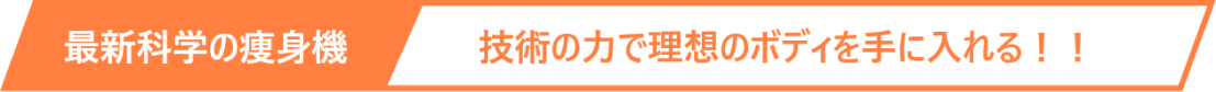 Sogire装飾